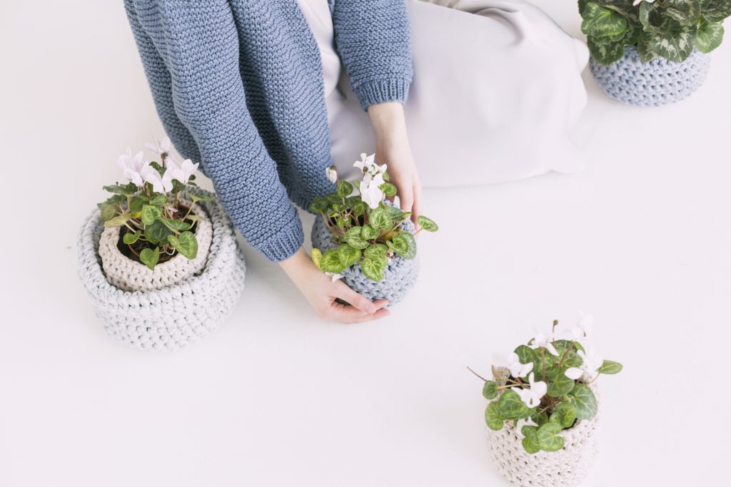 Spint mijt bestrijden op plantenbladeren met groene zeep oplossing