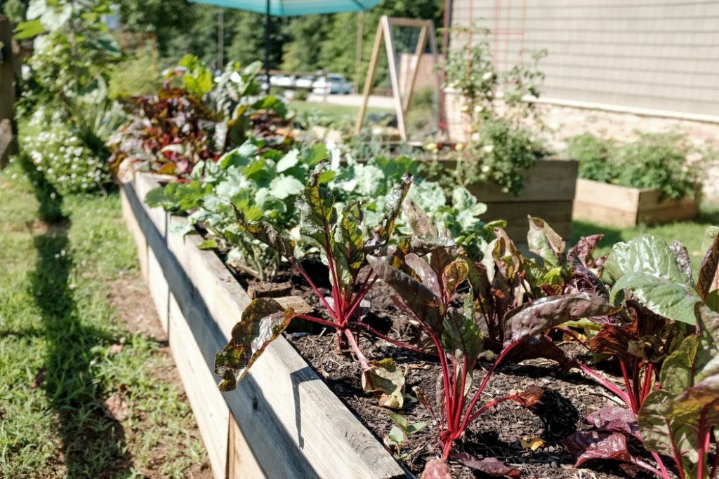 Praktische tips bij het renoveren van uw tuin met groencontainer voor afvalscheiding