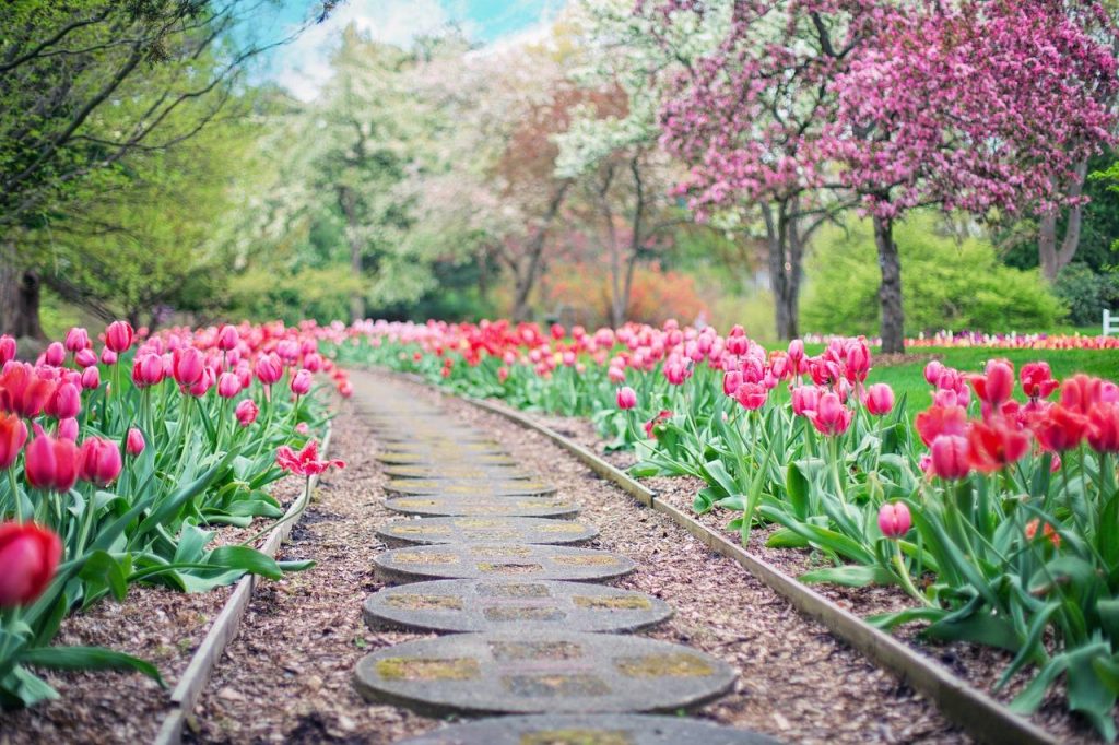 Professionele tuinverzorging door uitbesteden aan een hoveniersbedrijf voor een mooie buitenruimte