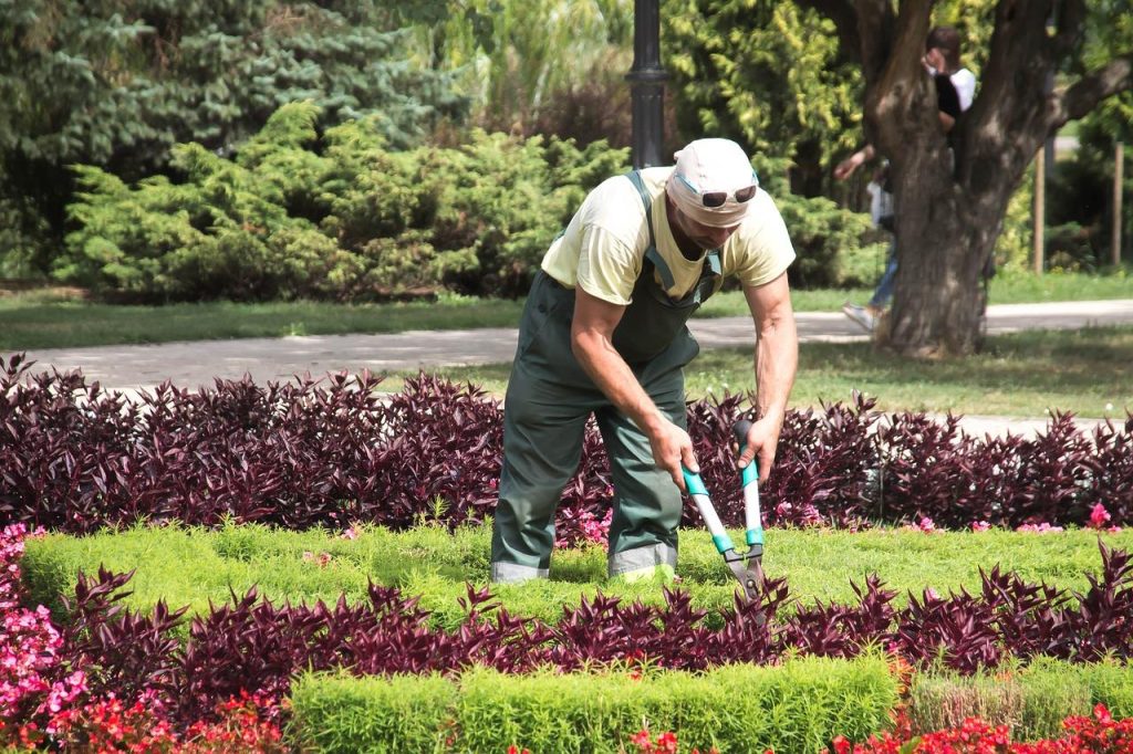 Professionele hovenier Hoogeveen werkt aan het ontwerpen en aanleggen van een moderne duurzame tuin
