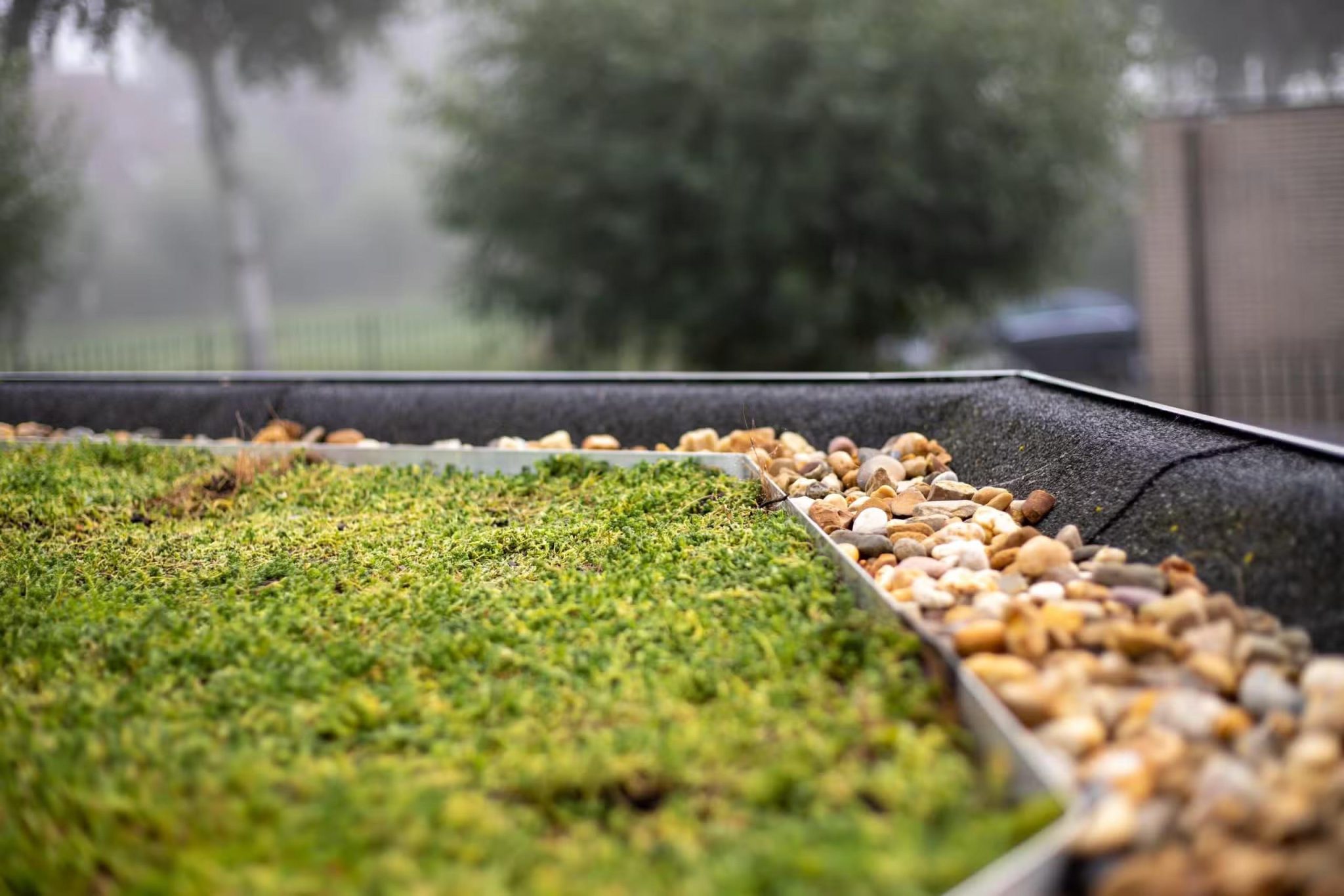 Groene carport met sedumdak van NatureGreen beplant met vetplanten voor duurzaam wonen en isolatie